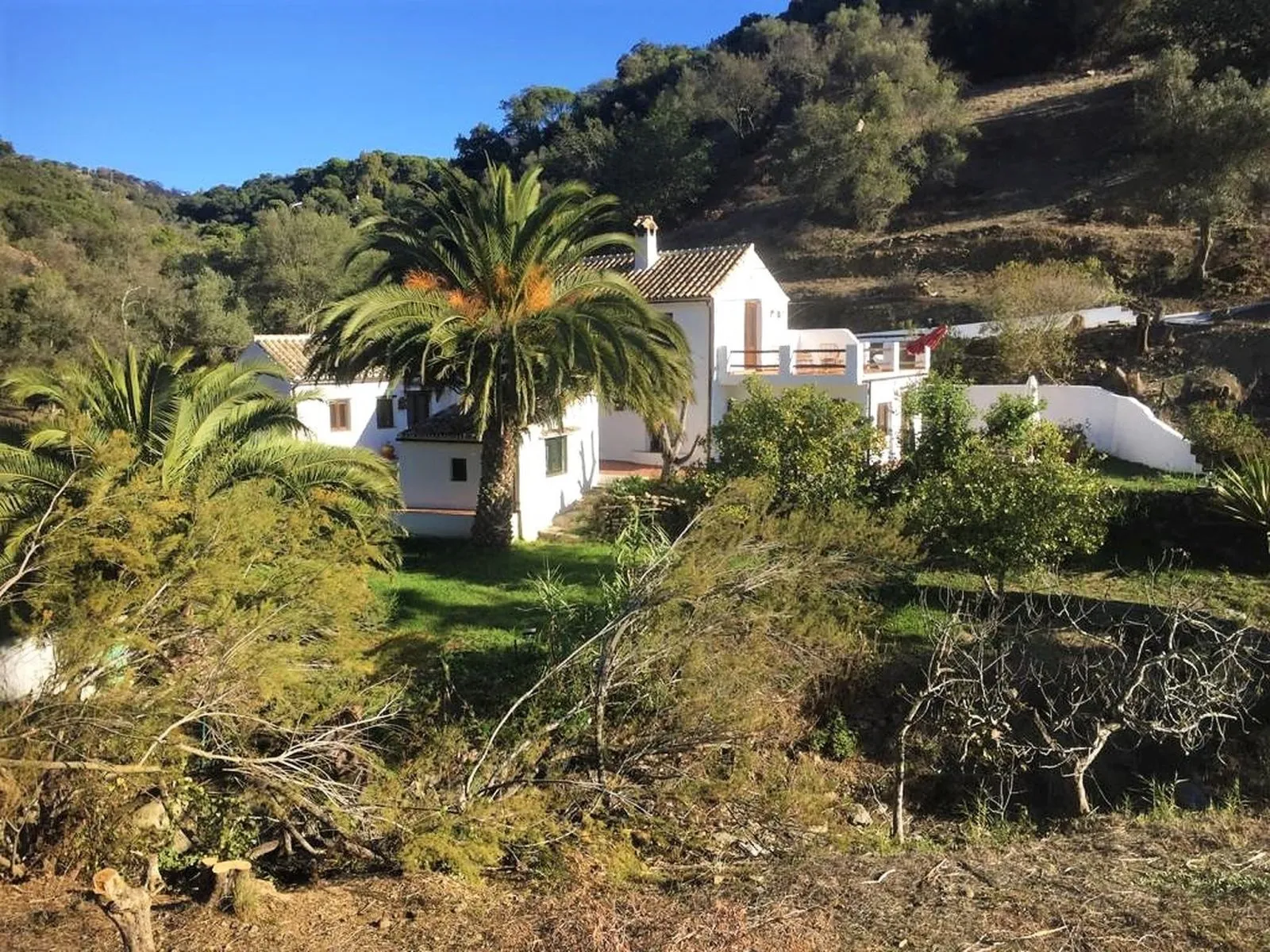Finca - Cortijo